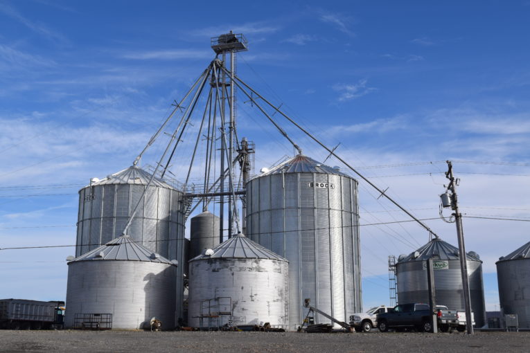 Grain System with Bucket Elevator